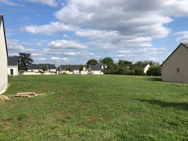 Terrain à MONTREUIL-BELLAY