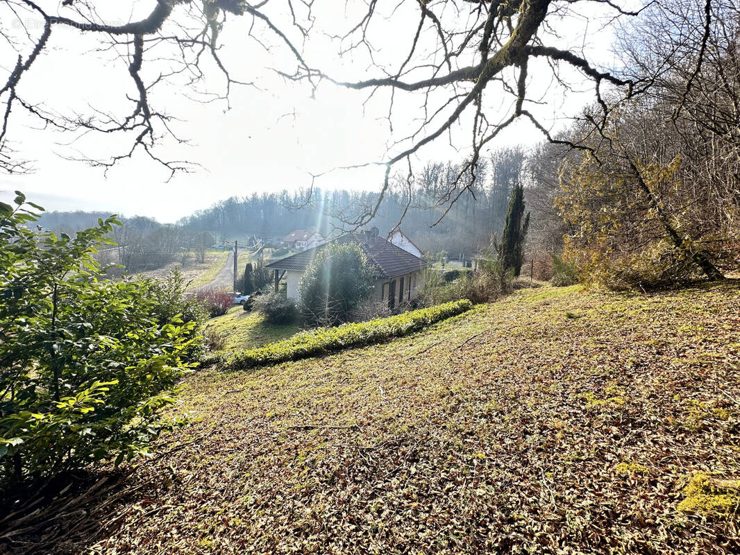 Maison à FRAHIER-ET-CHATEBIER