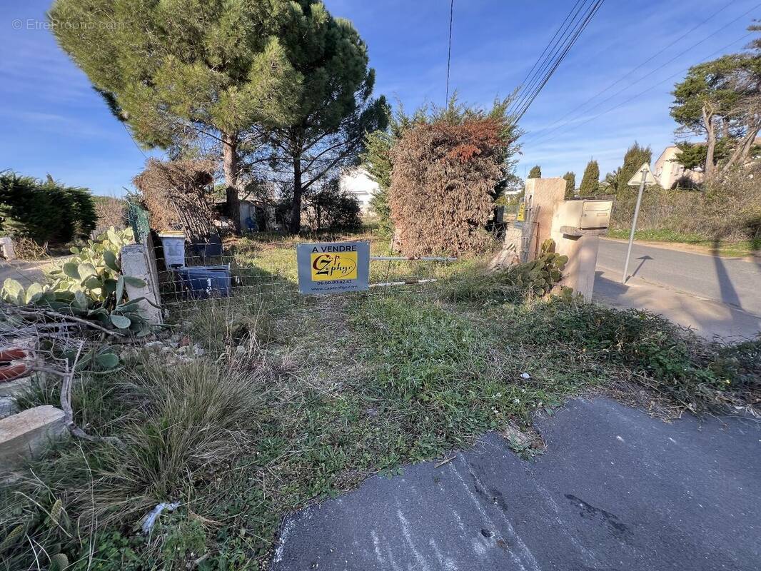 Terrain à MARSEILLAN