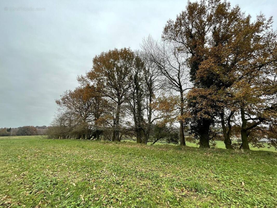 Terrain à SAINT-YRIEIX-LA-PERCHE