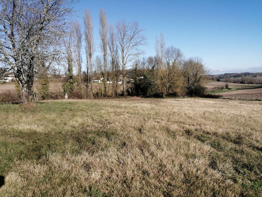 Terrain à SAINT-SEVERIN