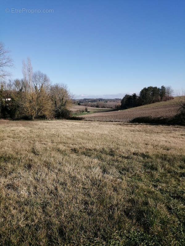 Terrain à SAINT-SEVERIN