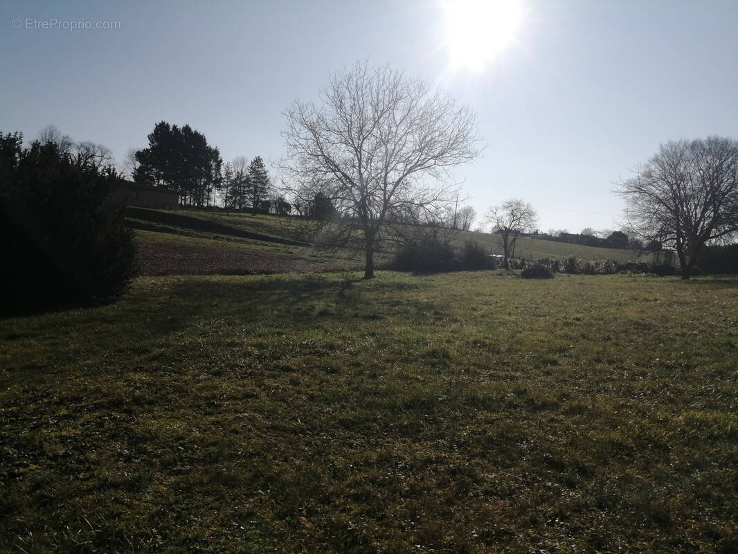 Terrain à SAINT-SEVERIN