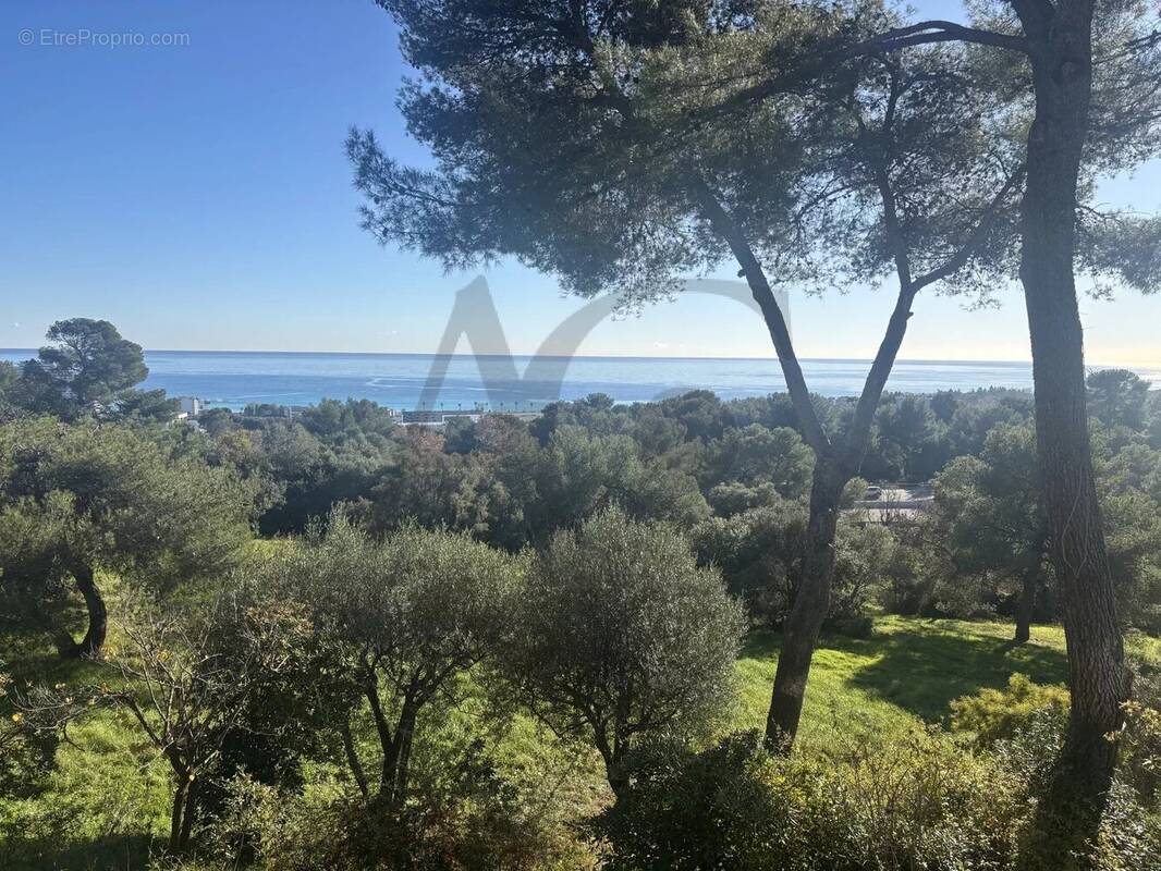 Appartement à VILLENEUVE-LOUBET