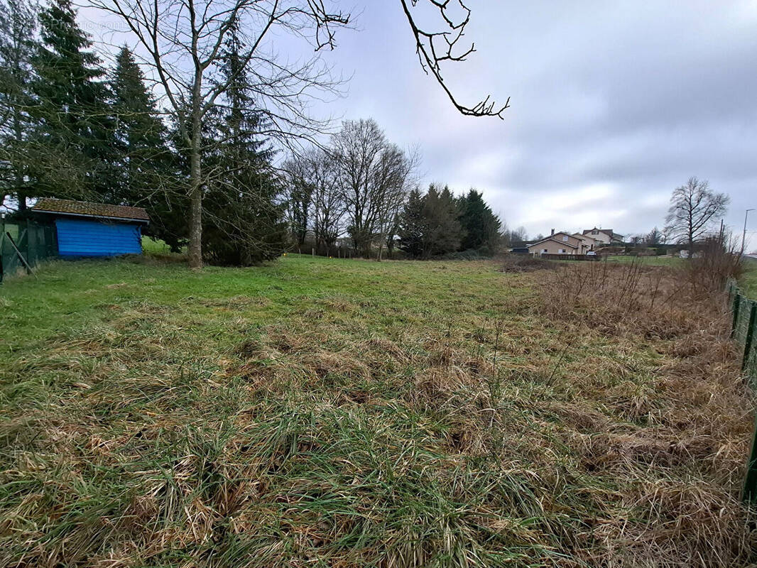 Terrain à VIRIAT