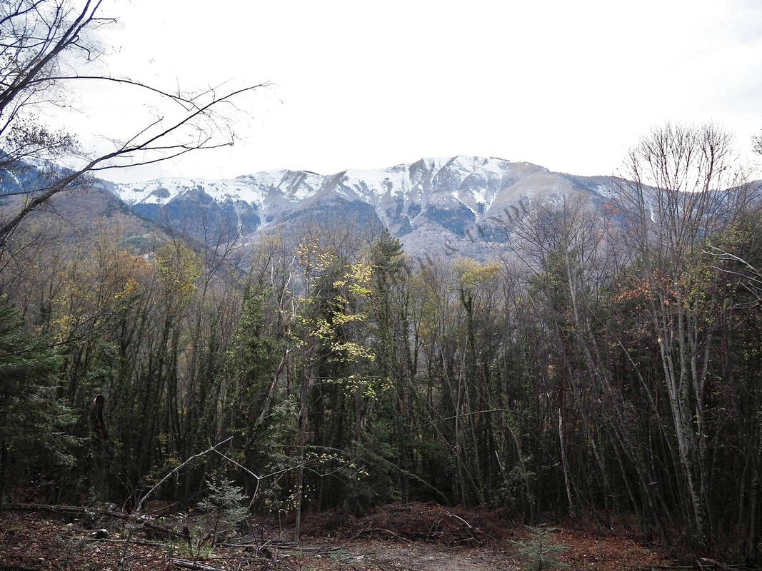 Terrain à BREIL-SUR-ROYA