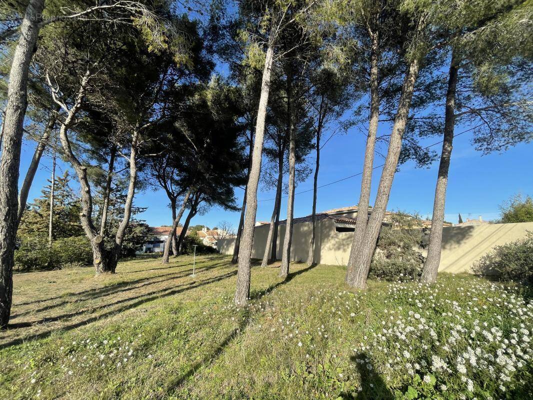 Terrain à SAINT-MITRE-LES-REMPARTS