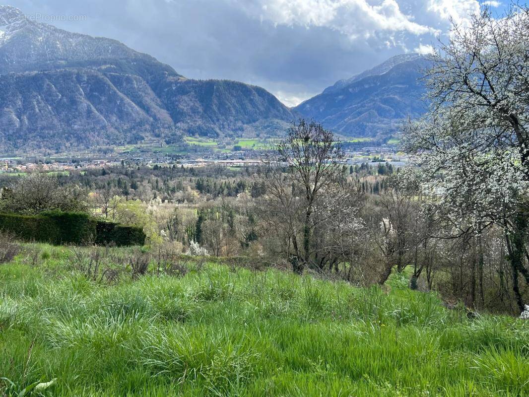 Terrain à LA ROCHE-SUR-FORON