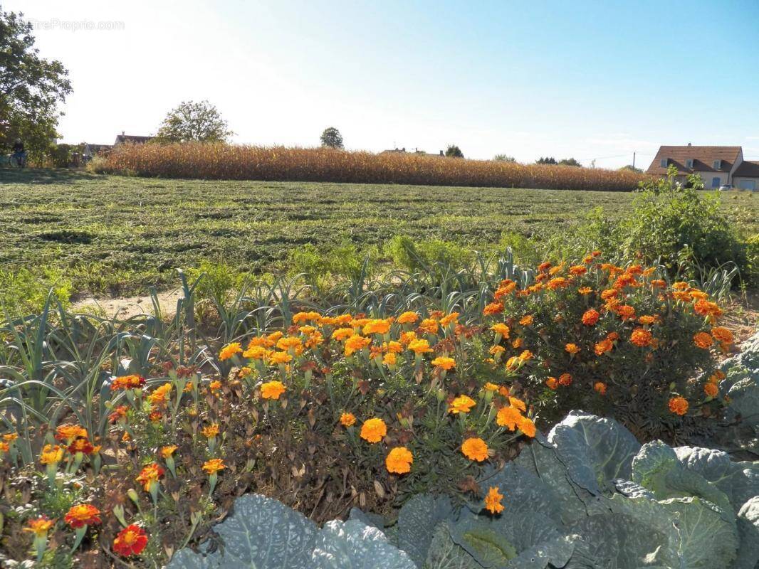 Terrain à CHARNAY-LES-CHALON