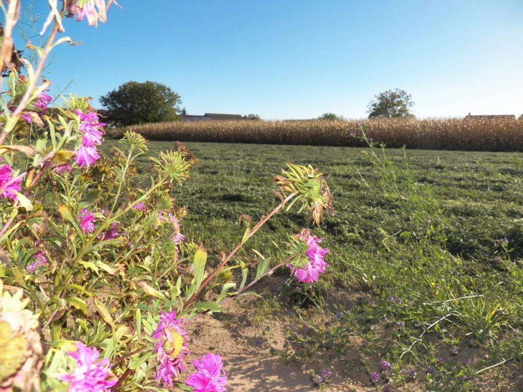 Terrain à CHARNAY-LES-CHALON