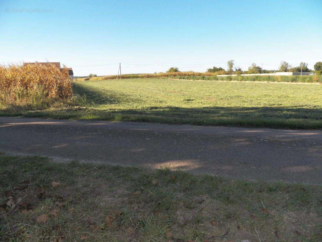 Terrain à CHARNAY-LES-CHALON