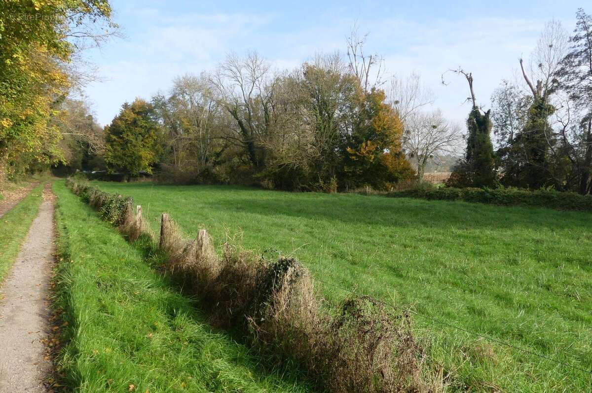 Terrain à MOUROUX