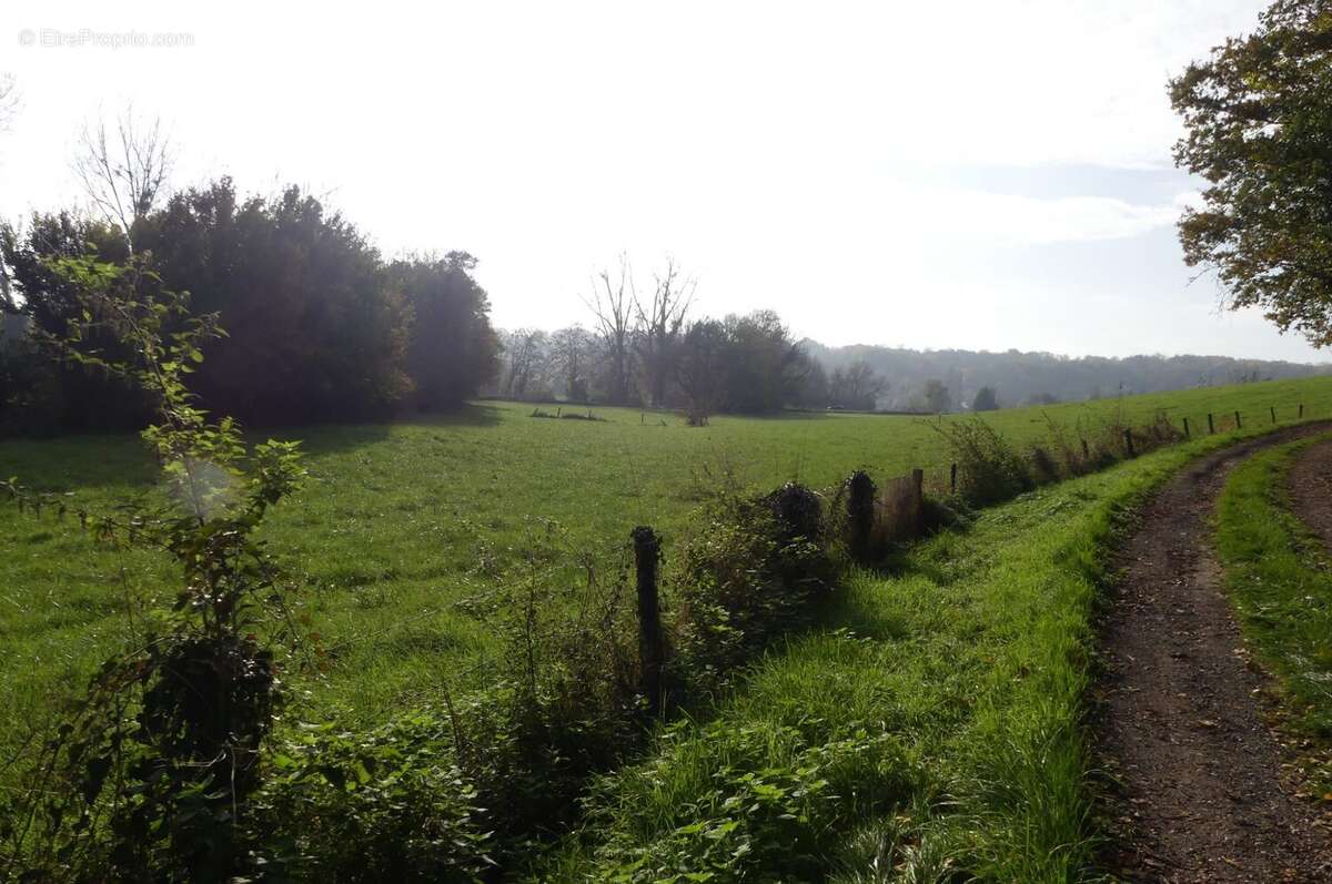 Terrain à MOUROUX