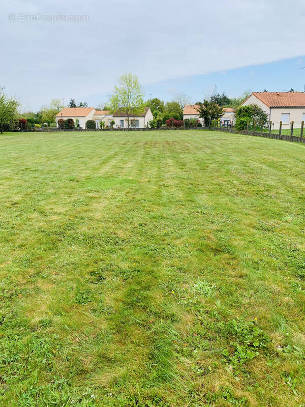 Terrain à SAINT-AMAND-SUR-SEVRE