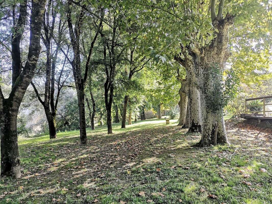 jardin - Maison à VIC-FEZENSAC