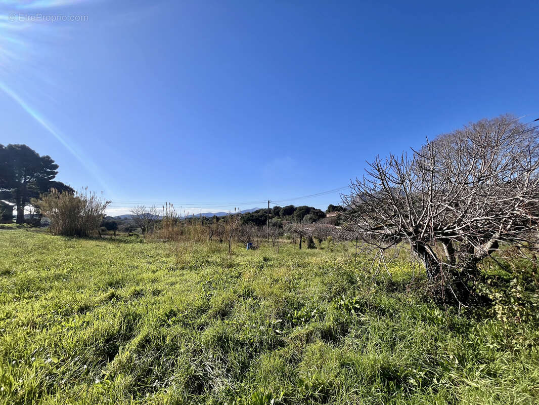 Terrain à PERI