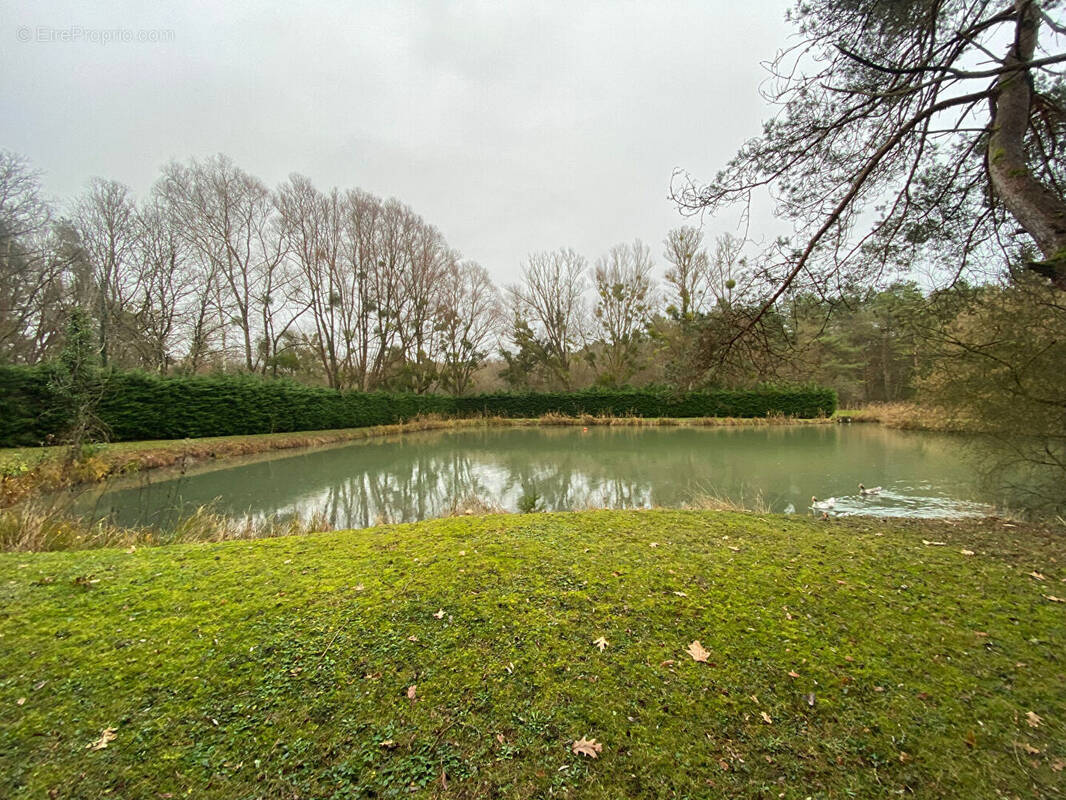 Terrain à FAY-AUX-LOGES