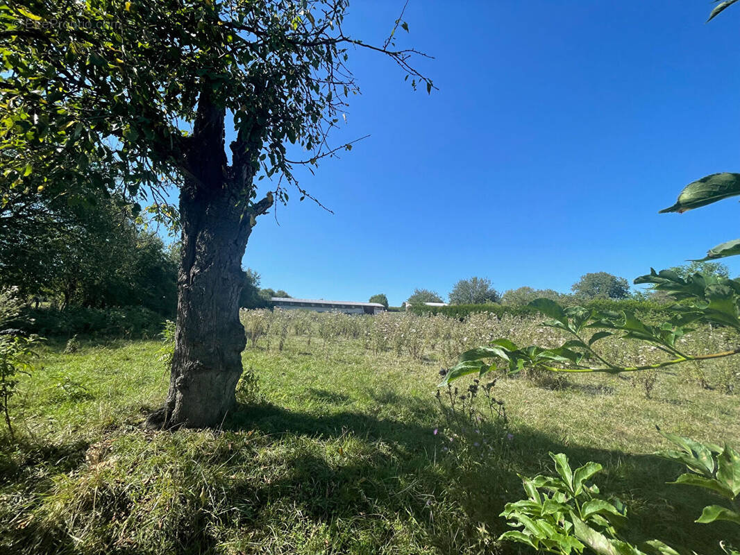 Terrain à VANTOUX-ET-LONGEVELLE