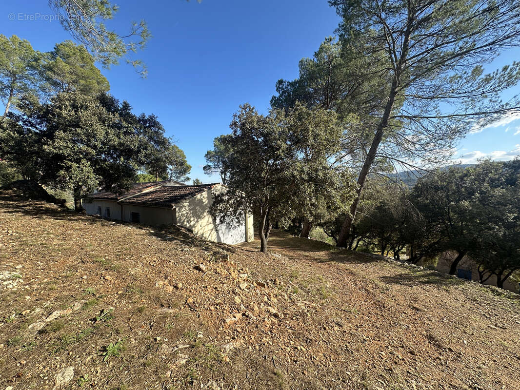 Maison à MONTFORT-SUR-ARGENS