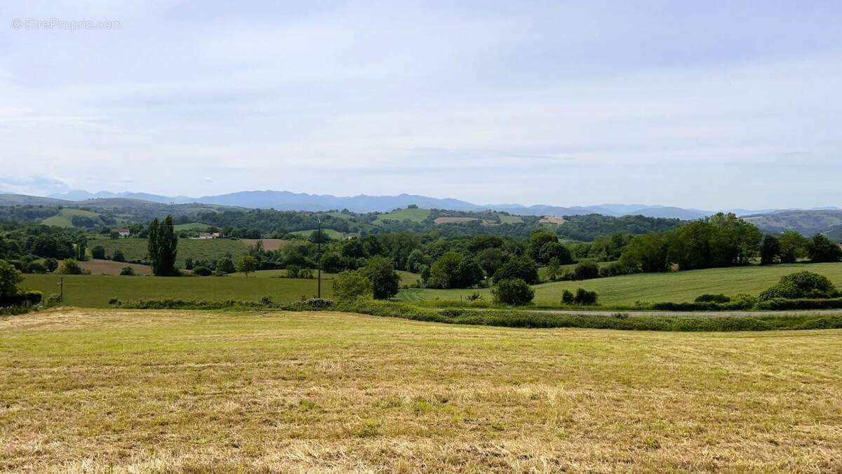 Terrain à SAINT-PALAIS