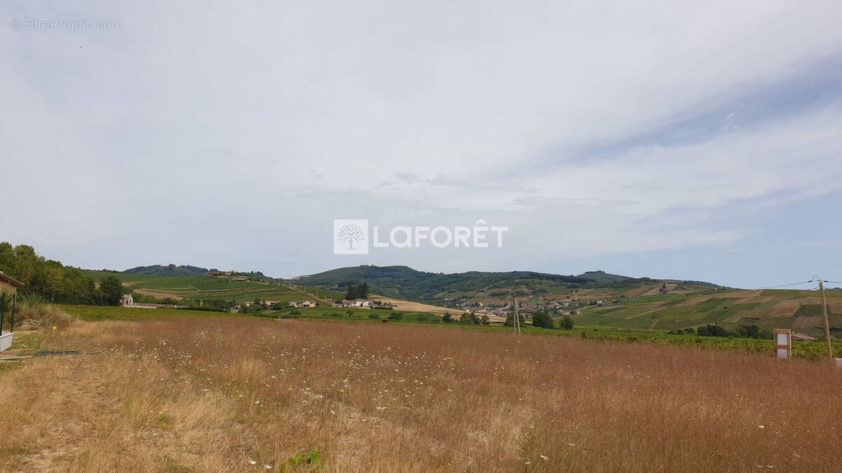 Terrain à FLEURIE