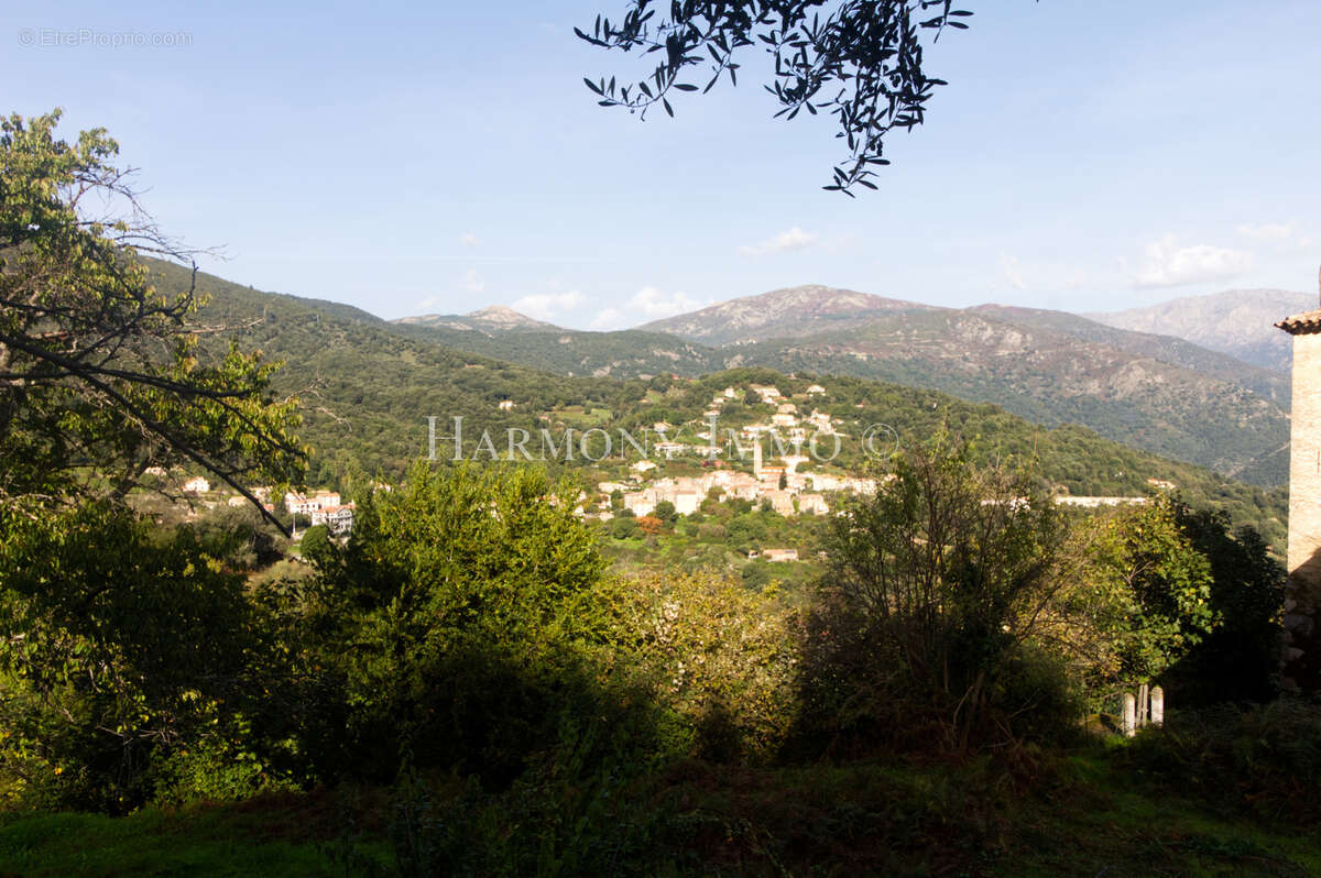 Appartement à VICO