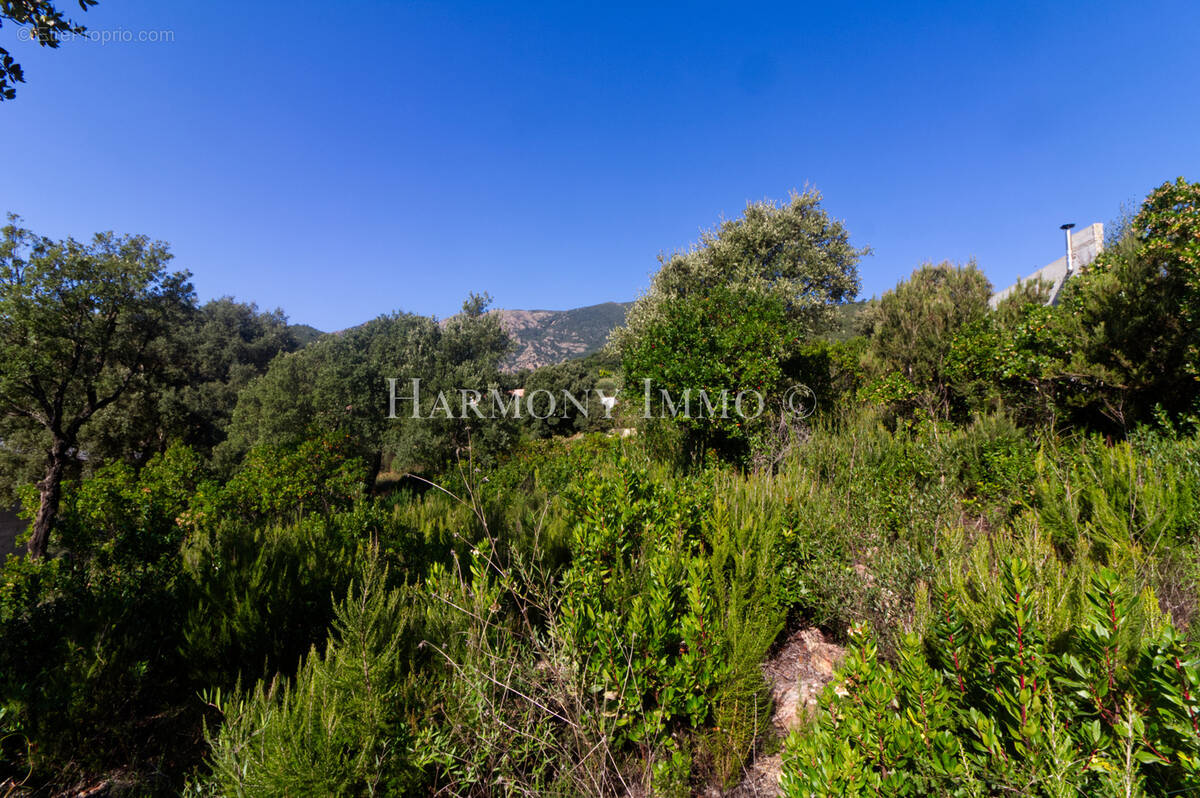 Terrain à AJACCIO