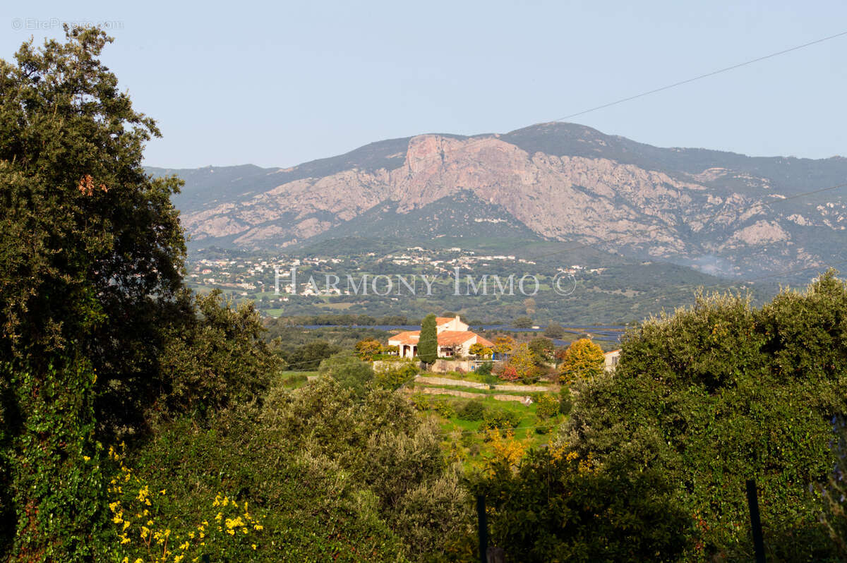 Terrain à AJACCIO