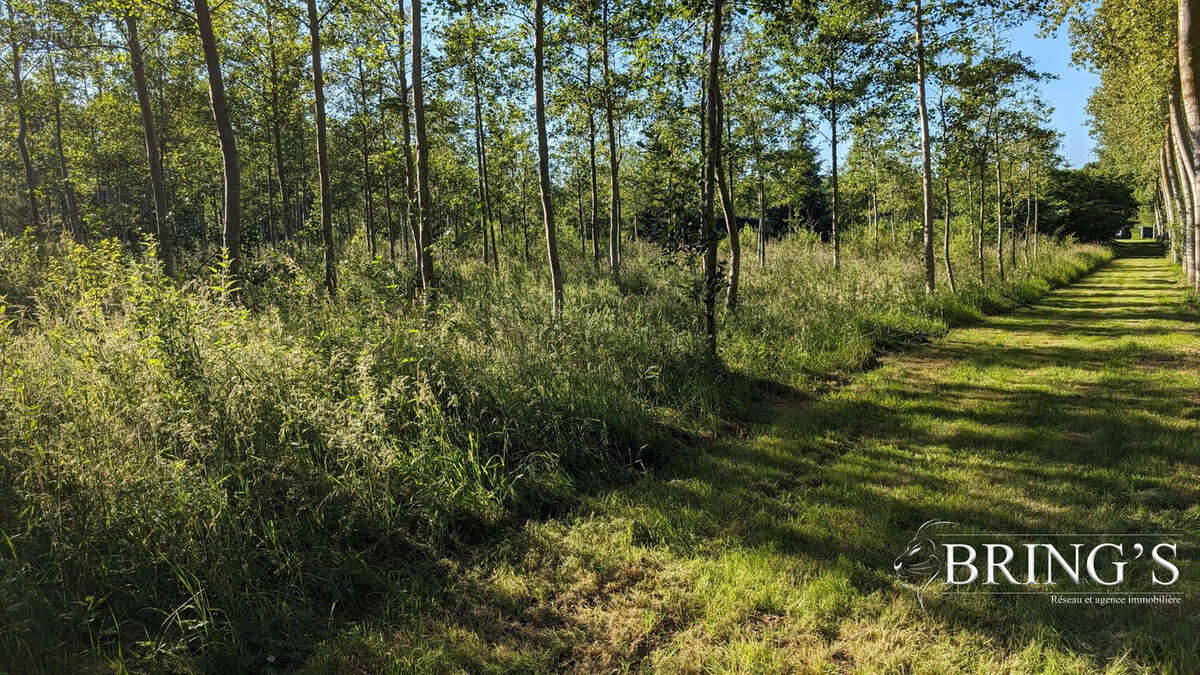 Terrain à ARCONNAY