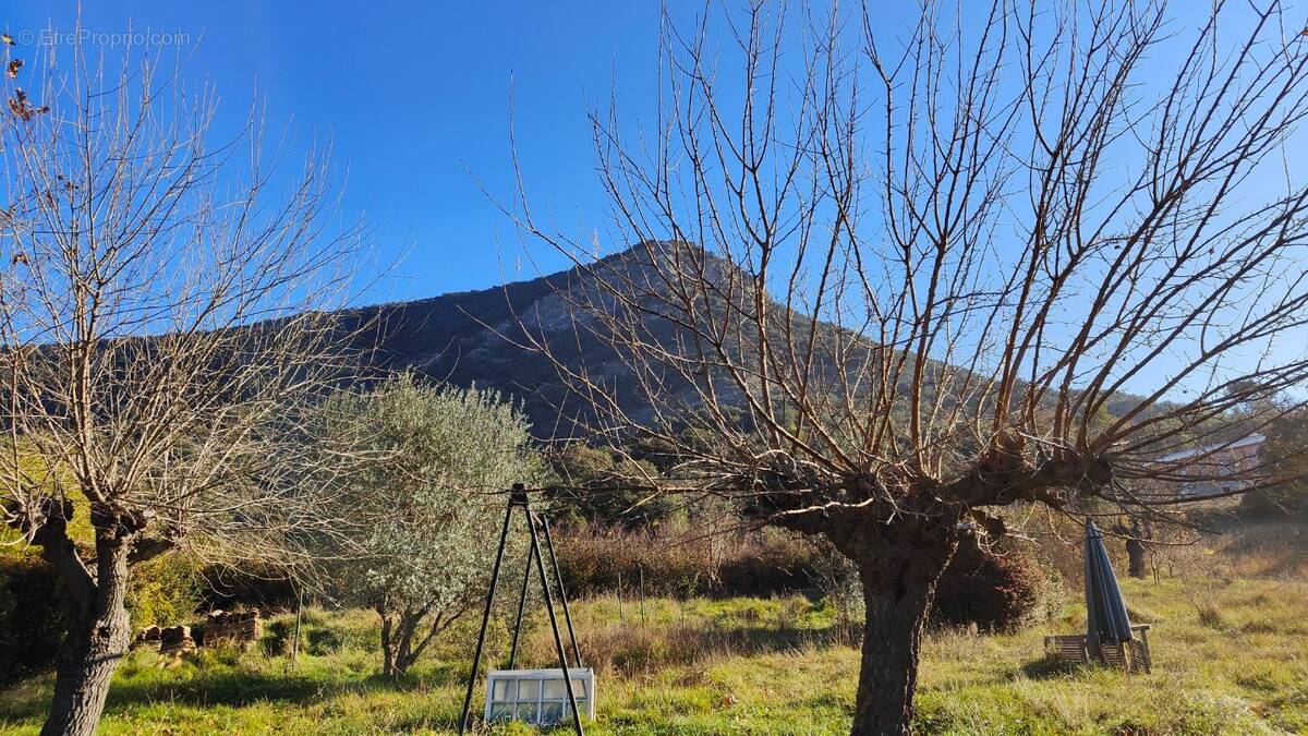 Terrain à SAINT-BRES