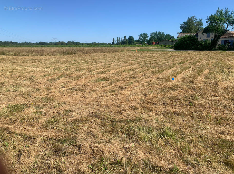 Terrain à LA LANDE-DE-FRONSAC