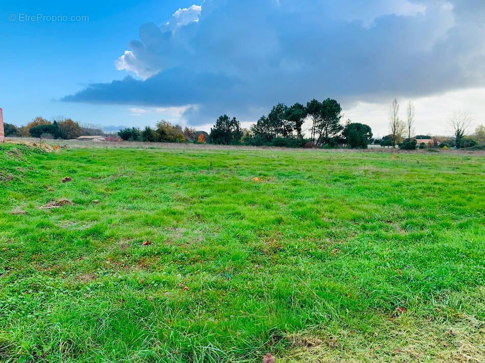 Terrain à PUGNAC