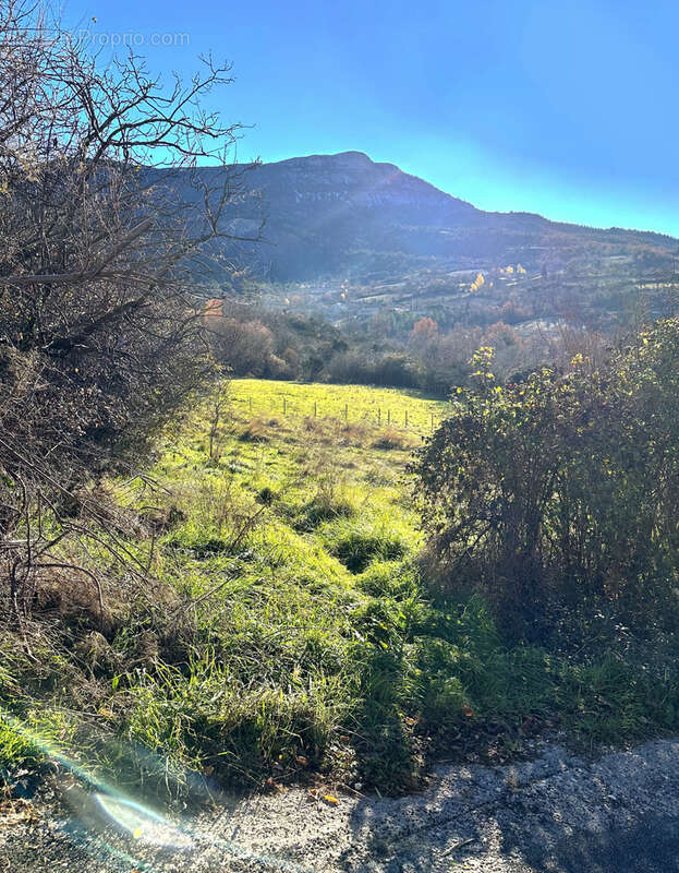 Terrain à LA ROCHE-SUR-LE-BUIS