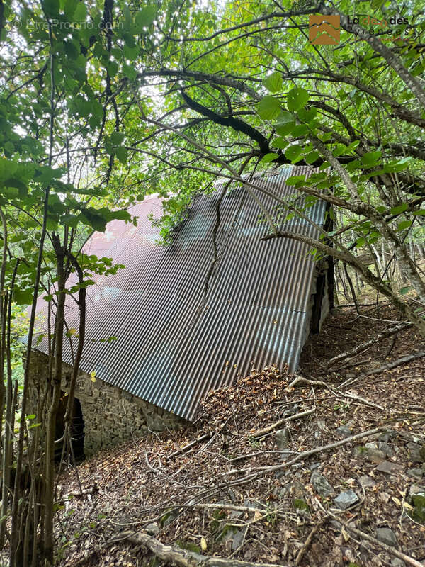 Maison à BAREILLES