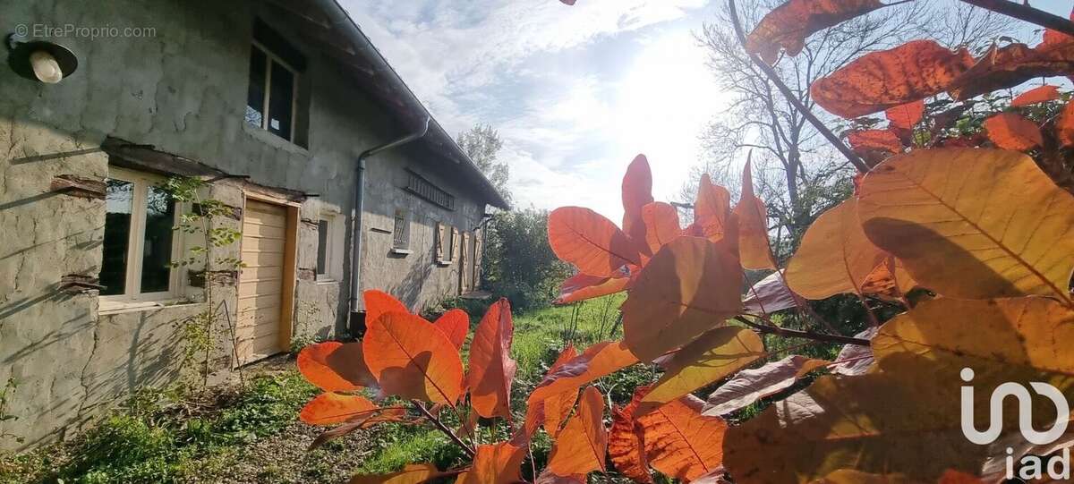 Photo 4 - Maison à SAINT-MARTIN-LE-CHATEL