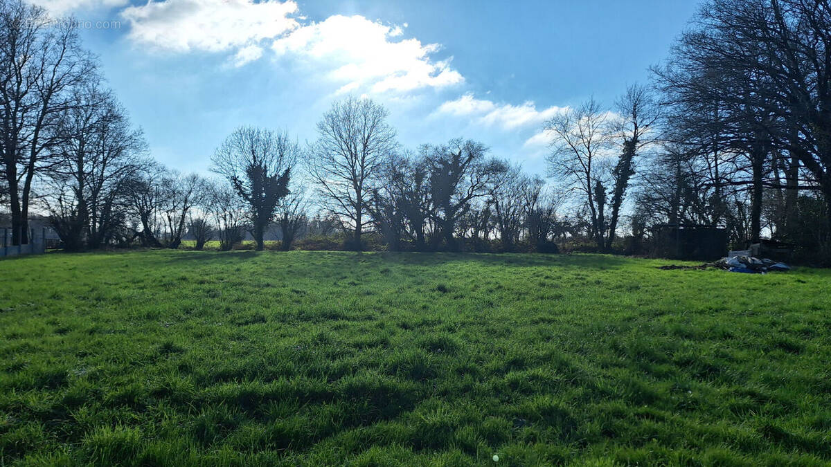 Terrain à SAINT-GILDAS-DES-BOIS