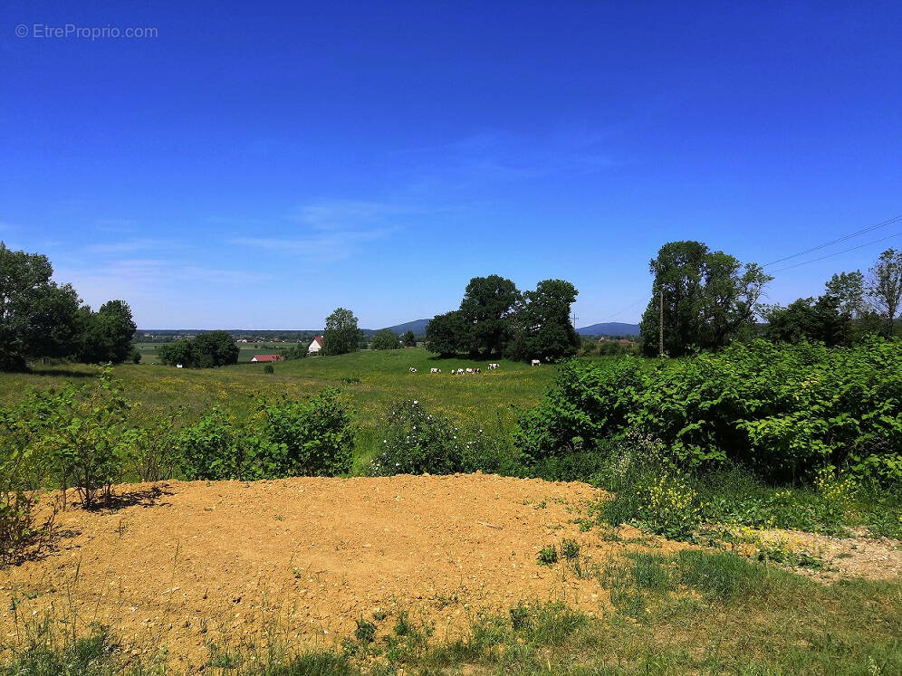 Terrain à SAINT-VIT