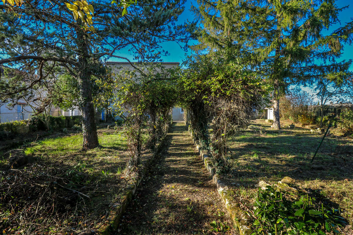 Maison à SAINT-SAVINIEN