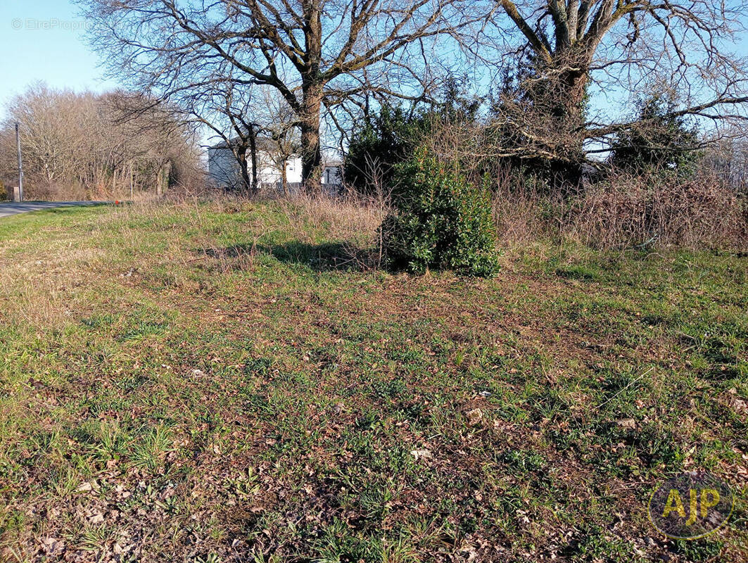 Terrain à LE GAVRE