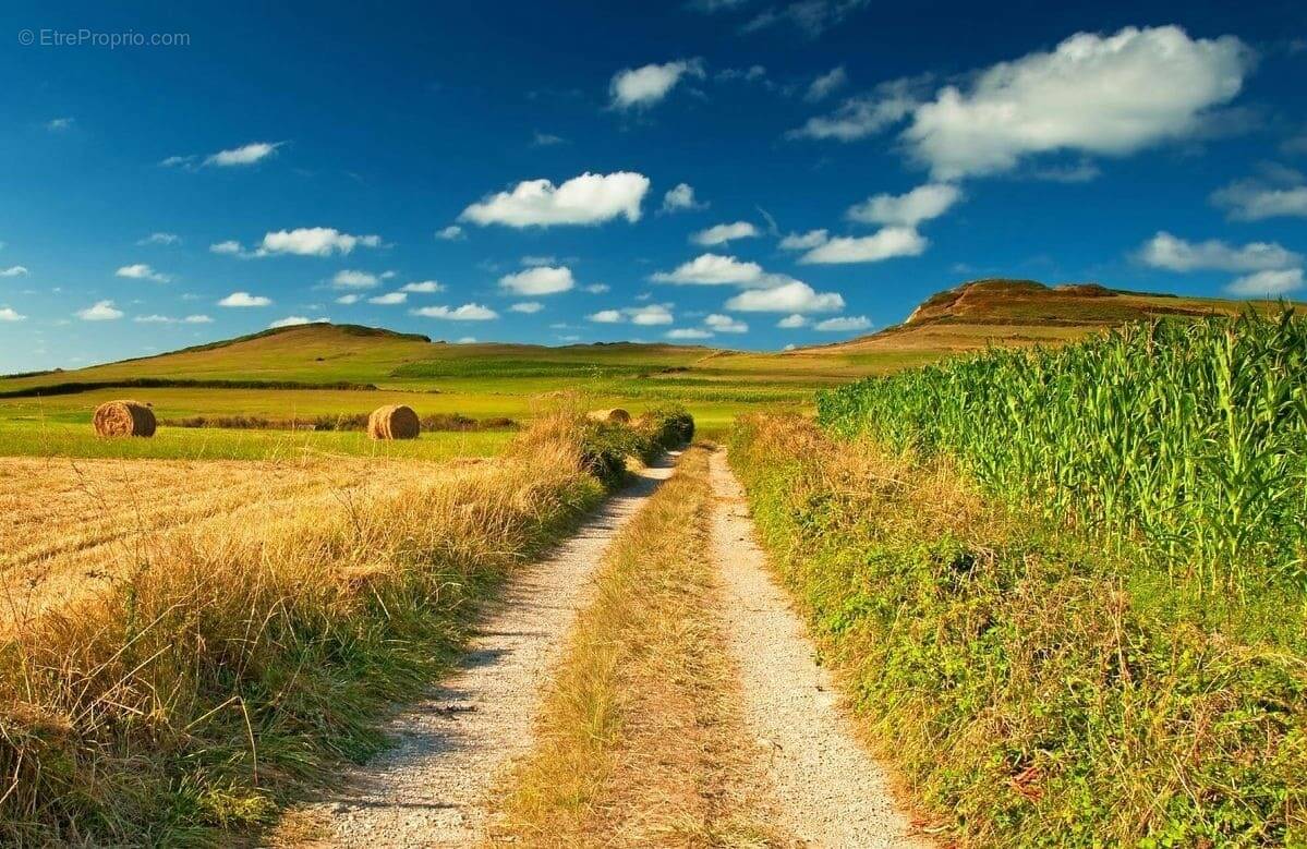 Terrain à SAINT-DENIS-LA-CHEVASSE