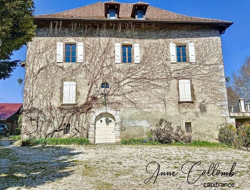 Maison à REIGNIER