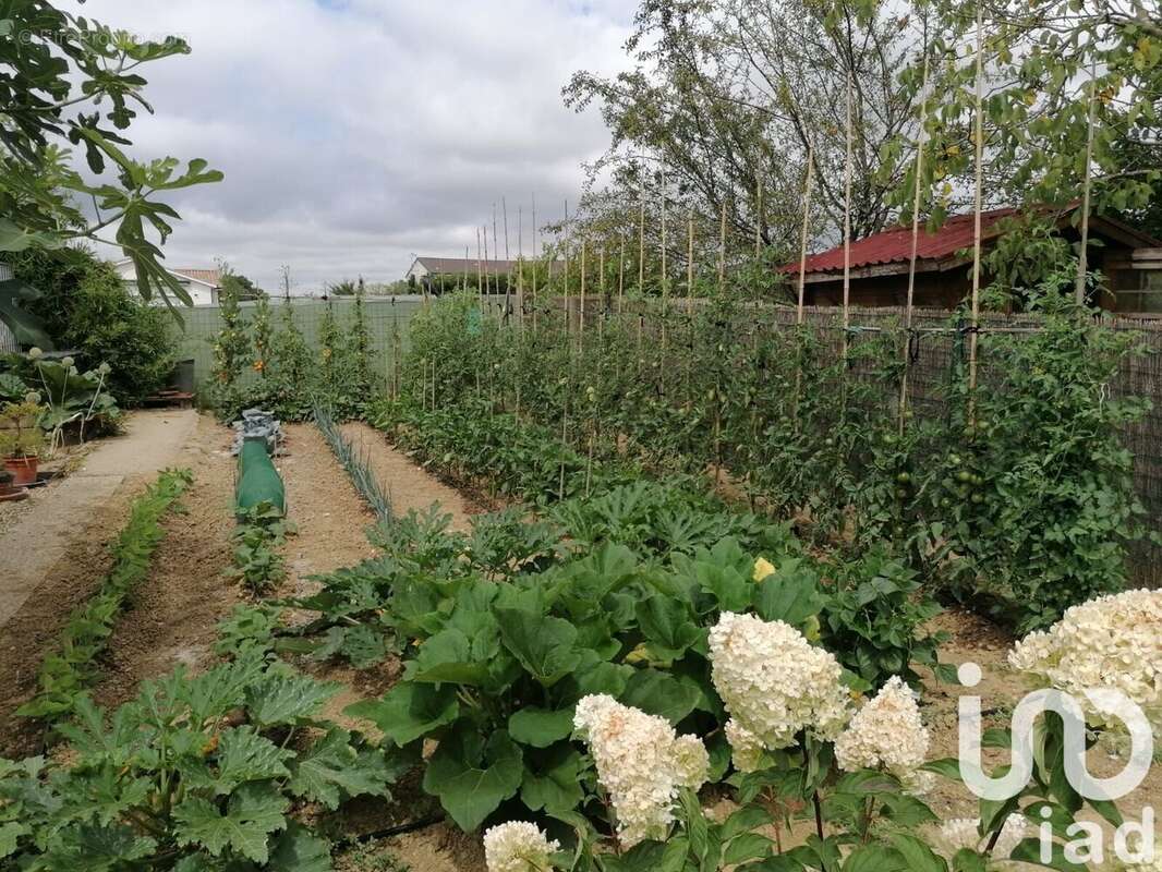 Photo 4 - Maison à MARMANDE