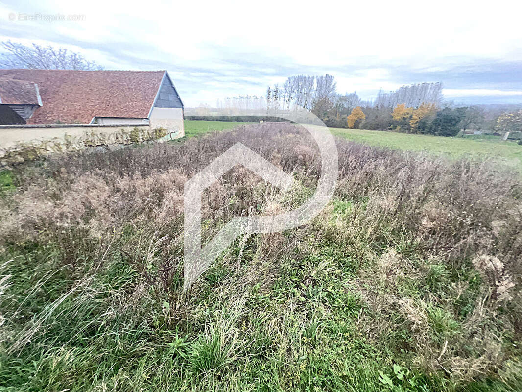 Terrain à LONGUEVILLE-SUR-AUBE