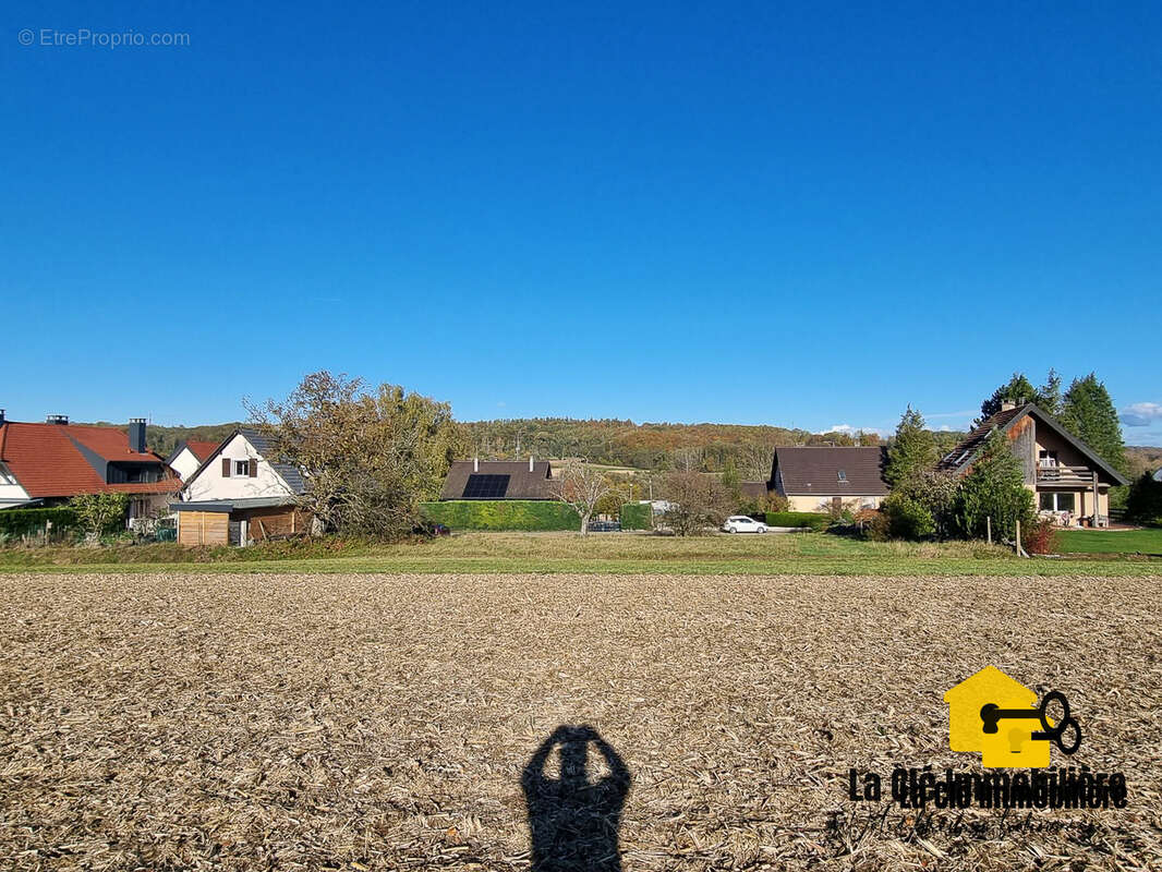 Terrain à HIRSINGUE