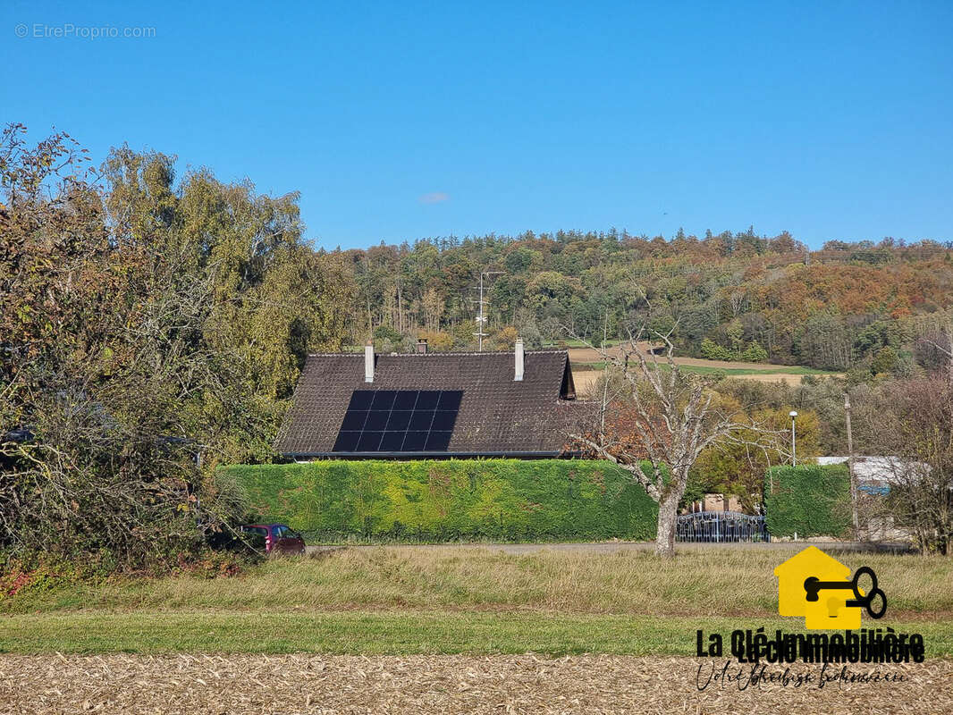 Terrain à HIRSINGUE