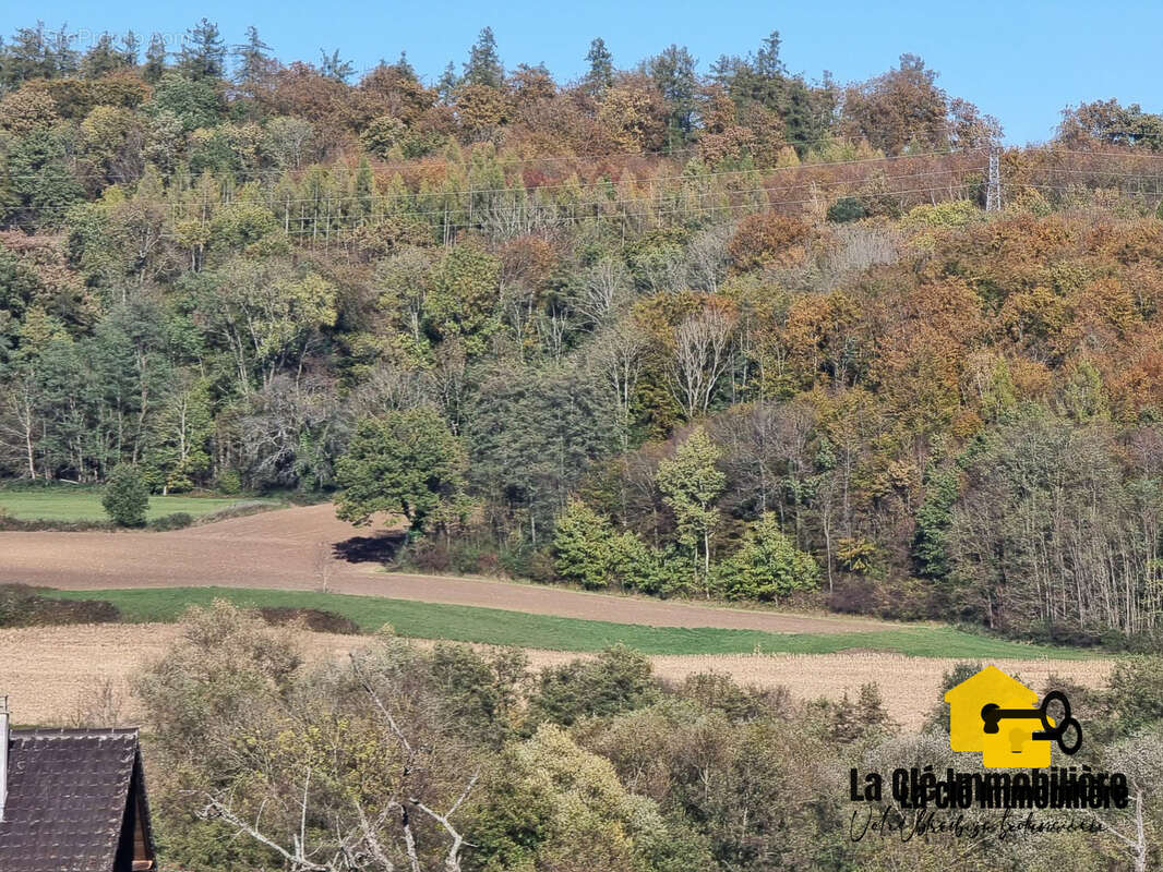 Terrain à HIRSINGUE