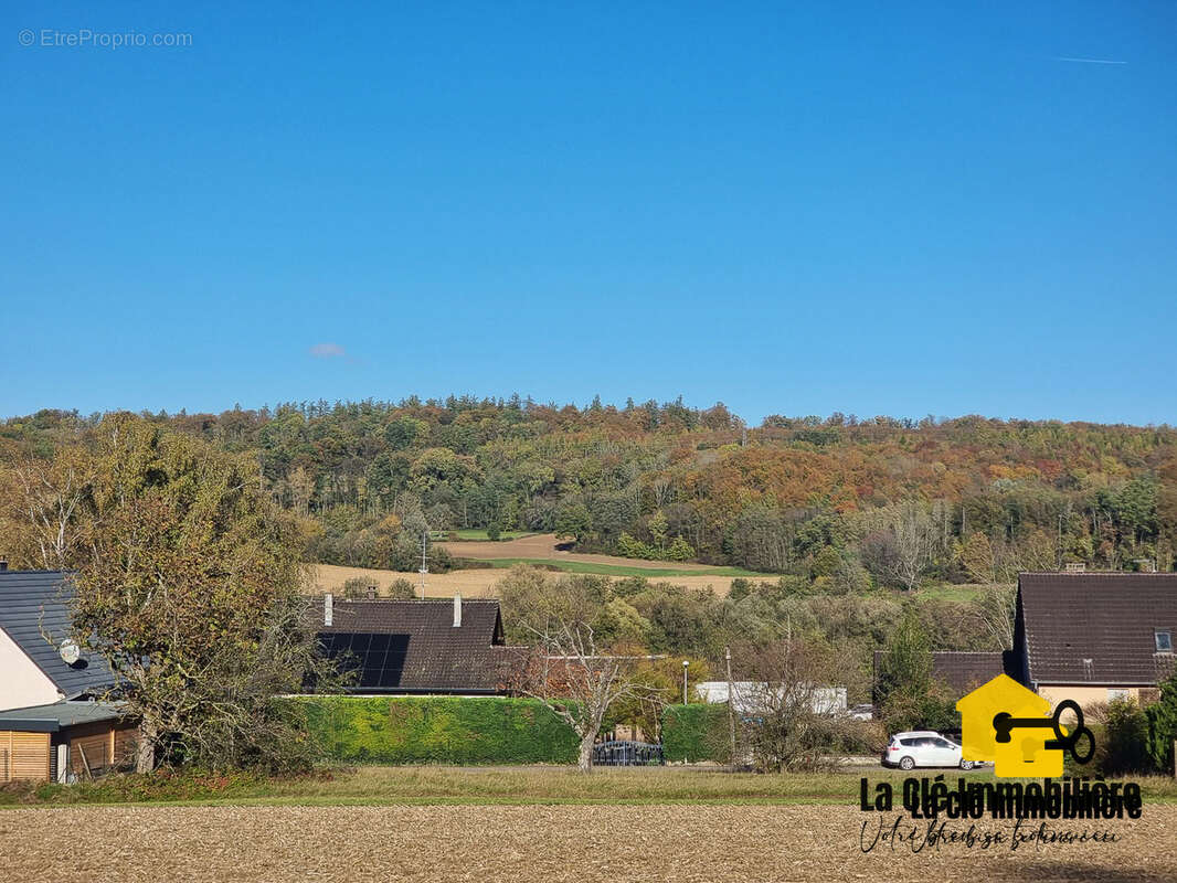 Terrain à HIRSINGUE