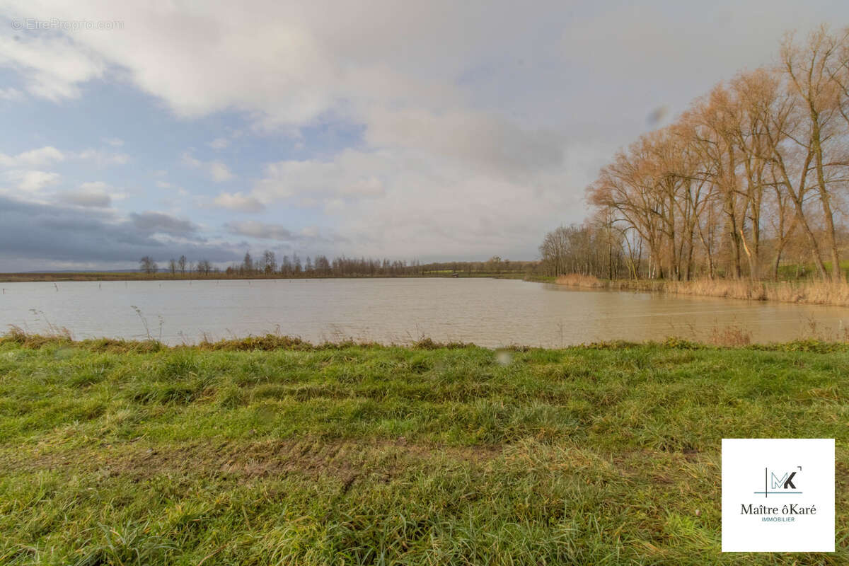 Terrain à RICHECOURT