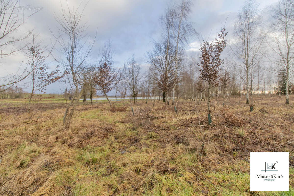 Terrain à RICHECOURT