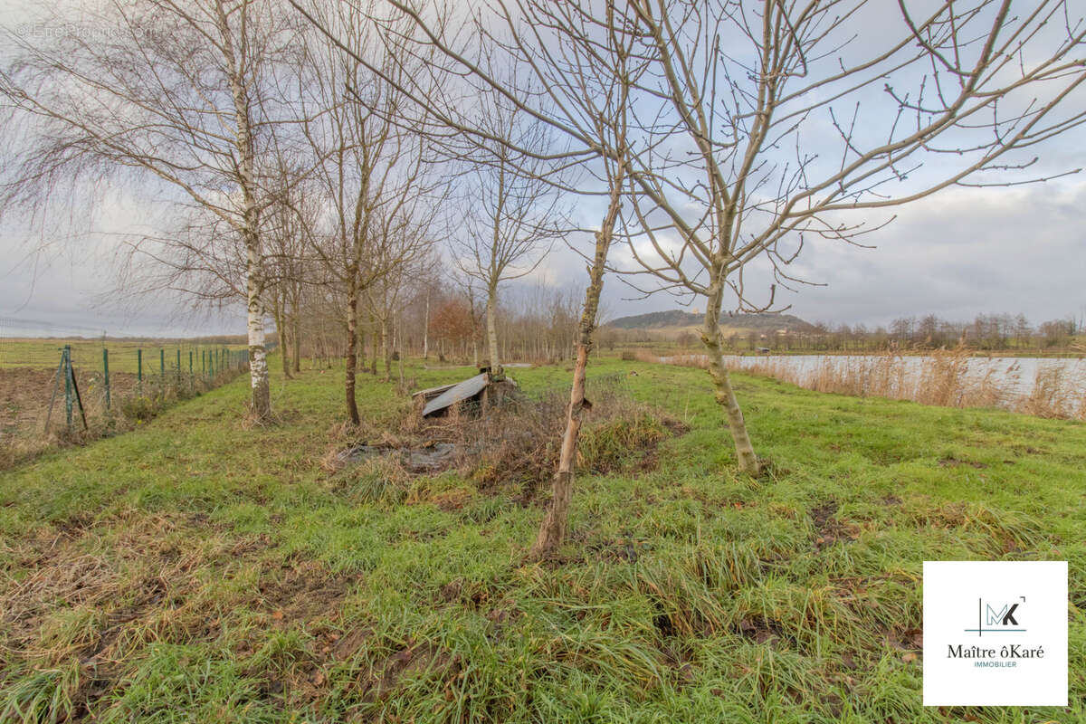 Terrain à RICHECOURT